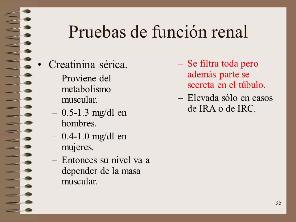 prueba de función renal para diabetes prueba de función renal para diabetes
